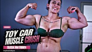 Sassenach Obliterates Model Toy car