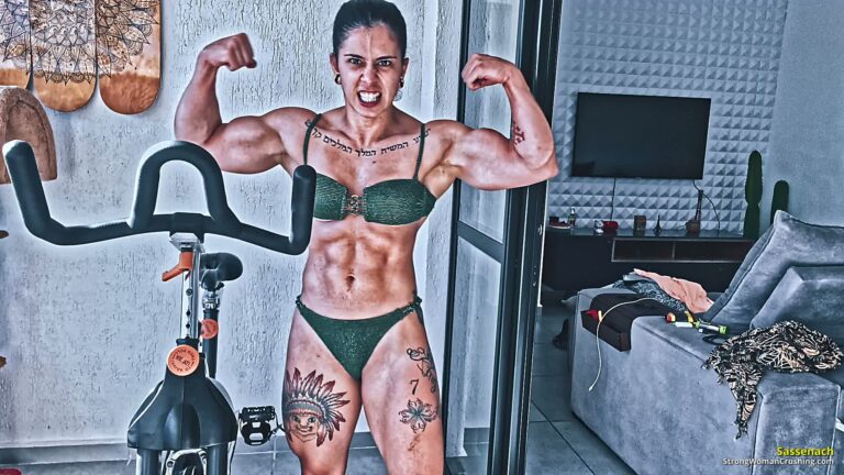 princ SA Heavy ergometric bike lotting 001 1